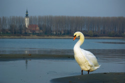 Lekovicl 
*** 
2008-11-18 02:50:48