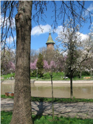 ursiy 
 Metropolitan Cathedral of Timisoara