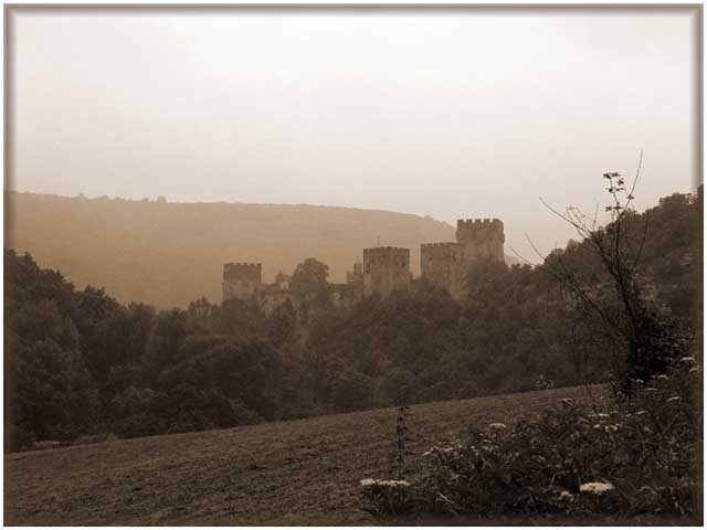 Monaster Manasije