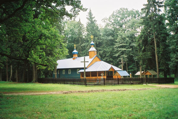Krynoczka