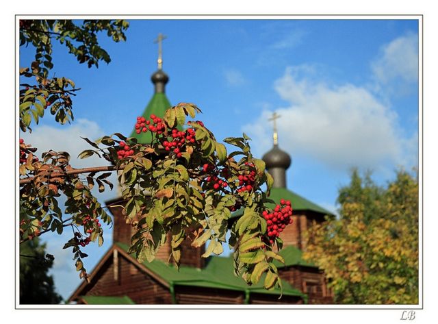 Autumn