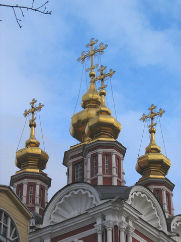 Domes od Novodevichy monastery