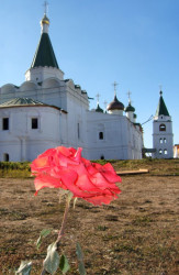 vjunsoh 
Monastery Rose/Монастырская роза 
2007-01-19 11:23:57