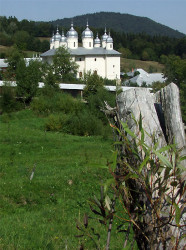 iolivp 
Biserica încoronează copacul care s-a tăiat de patimi. Doamne ajută! 
2008-09-19 14:14:17