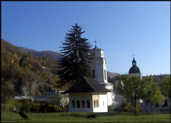 hristos.anesti 
Toamna in Oltenia 
2008-10-23 22:11:15