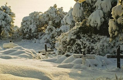 thiv56 
Σταυροί στο χιόνι - Crosses in the snow 
2008-11-09 11:10:57