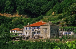 thiv_col_Athos 
Κελλί στην Προβάτα - Monastic house at Provata 
2008-12-22 17:20:58