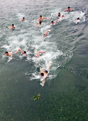 Tanjica 
Swimming for the Cross 
2009-01-19 16:00:07