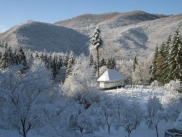 Cimintir/Graveyard,Frasinei Monastery