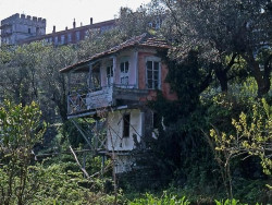 thiv_col_Athos 
Κηπουρόσπιτο στην Ι. Μονή Βατοπεδίου - Building in the garden 
2009-02-09 09:20:42