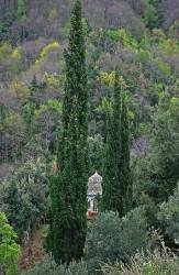 thiv_col_Athos 
Παρεκκλήσι και κυπαρίσσια - Chapel and cypress trees 
2009-02-24 17:51:11