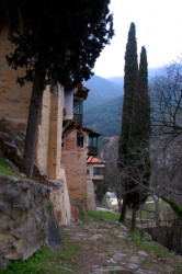 iliana 
Monastery of Saint John the Baptist 
2009-03-04 22:48:20