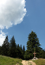 miha 
Wayside cross at the beggining of the path through the forest 
2009-08-02 12:46:15