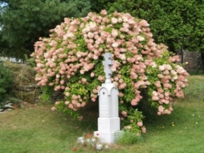 An American Russian Orthodox Bishop's Grave 