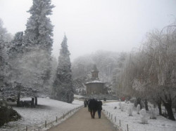 CristinaL 
Prislop Monastery (14th c.). Hunedoara county 
2009-12-21 19:29:36