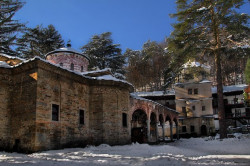 Petrov 
Troyan monastery 
2010-02-05 20:48:31