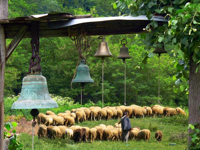 The Shepard and the Bells