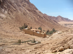 maria1 
Holy Monastery of St. Catherine at Mount Sinai  
2010-05-25 20:10:08