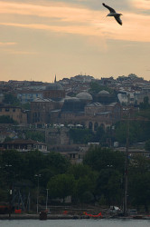 iliana 
Monastery of Pantokrator, Constantinople 
2010-05-31 00:33:41