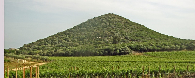 Hilandarski vinogradi na PUTU VEKOVA