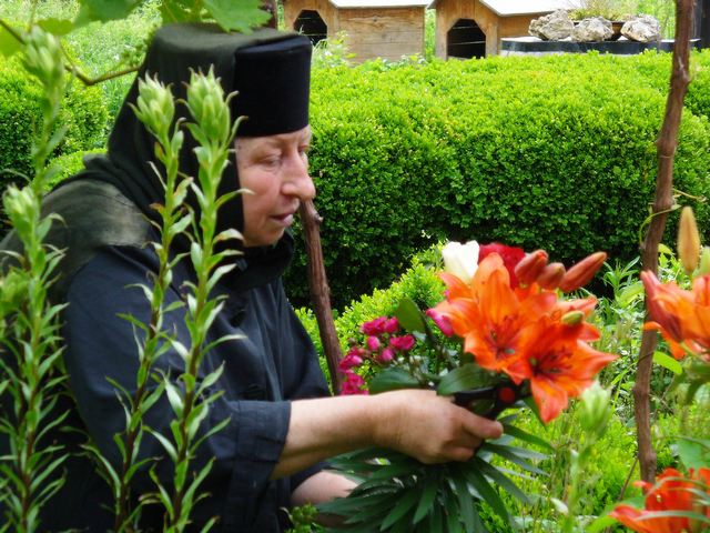 Mother Anisia and her flowers