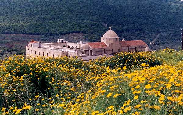 The Monastery of St. George in Syria