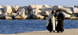 zoof 
procession on st. Elijah – Vatopedi, Mt. Athos  
2010-10-26 19:42:36