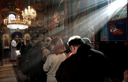 AleksaSrbin 
нафора II 
110 
2010-11-09 21:00:29