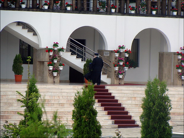 monk and flowers