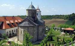 Tomislav 
Manastir PETKOVICA, na Fruškoj gori 
2011-01-17 16:40:06