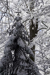 matia 
"Şi a privit Dumnezeu toate câte a făcut şi iată erau bune foarte" (Facerea 1, 31) 
2011-01-18 18:53:38