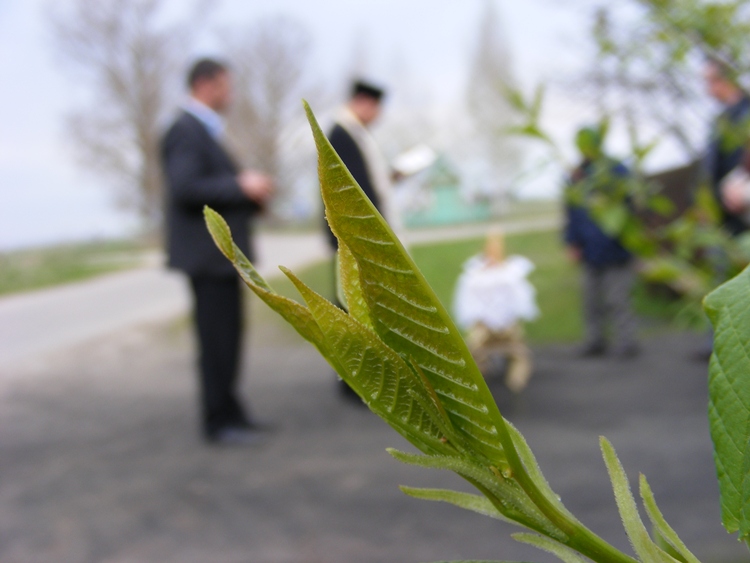 Oświęcenie Paschy '11 Nowokornino