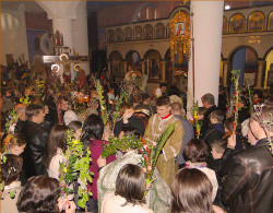 Aimilianos 
Wierbnoje Woskriesienije 
2011-04-17 19:44:45