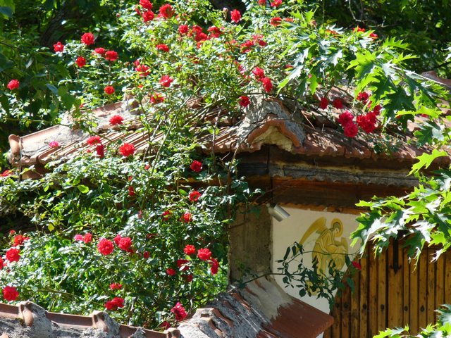 Angel and Roses on the gate to the Vrachesh Monastery "Forty Martyrs"