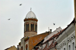 ionutbd 
Biserică Brașov_close-up 
2011-11-28 08:03:12