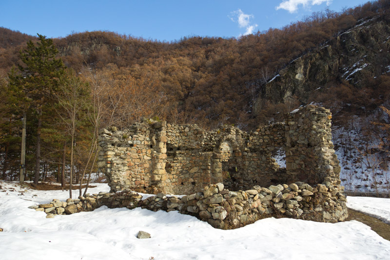 Ruinele vechii biserici ale Manastirii Visina