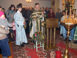 szolucha.w 
Niedziela Palmowa 
2012-04-08 11:11:24
