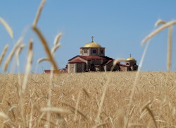 angus 
St Luke in the Wheat Field 
2012-06-24 04:29:50