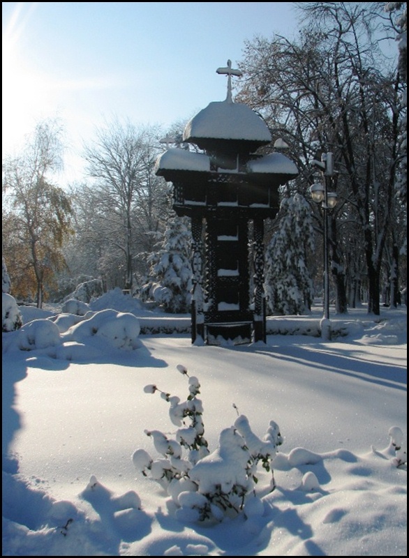 Close to the Metropolitan Cathedral of Timisoara