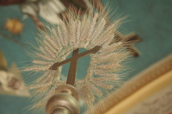 maksim 
Благослов 
2012-12-16 13:35:01