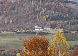 PopovicT 
Na putu za Kovilje - Kosovica 
2013-03-22 22:50:34