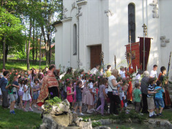 Nesko 
Лазарева субота,Врбица у цркви Вазнесења Христовог у Жаркову 
2013-04-27 20:17:59