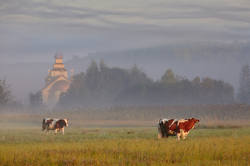 Słochy Annopolskie - Cerkiew pw. Świętej Marii Magdaleny