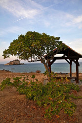 AleksaSrbin 
Хиландаеска арсана 
2013-10-24 06:57:57