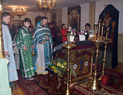 szolucha.w 
Niedziela palmowa 
2014-04-14 17:29:56