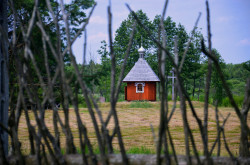 Pit_Zsak_79 
Białowieża.7. 
2014-10-06 00:06:07