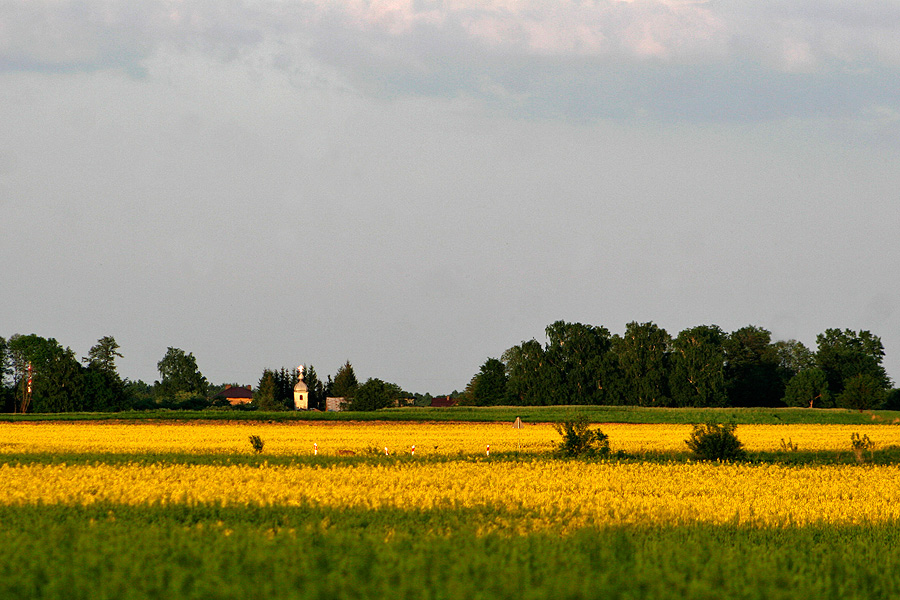 Kaplica św. Archanioła Michała w Wojszkach