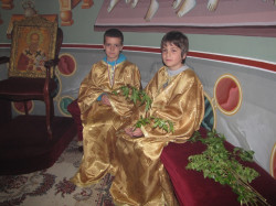 maksim 
Врбица 
2015-04-04 23:14:02