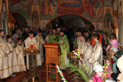 jarek 
Palm Sunday in Zwierki Convent 1 
2015-04-05 14:42:51