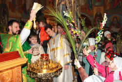 jarek 
Palm Sunday in Zwierki Convent 2 
2015-04-05 14:43:24